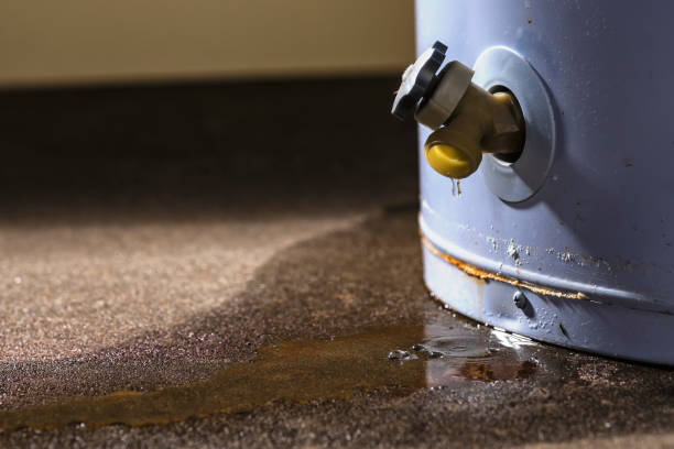  South Palm Beach, FL Water damage restoration Pros
