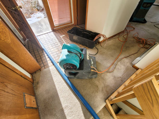 Best Emergency water damage restoration  in South Palm Beach, FL