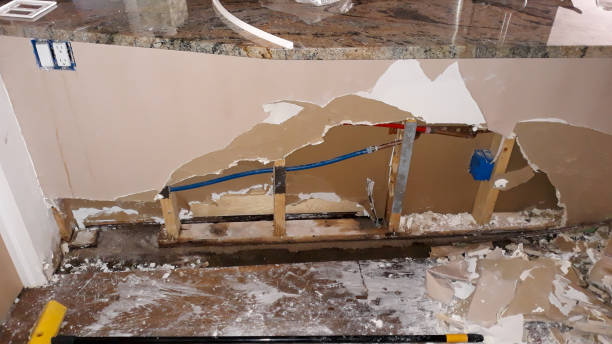 Best Water damage restoration services  in South Palm Beach, FL