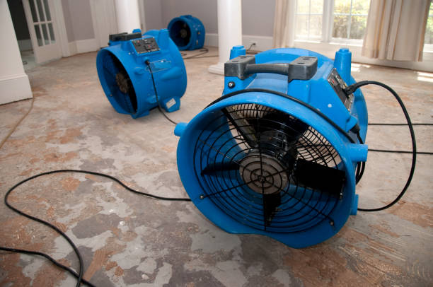 Best Water damage restoration near me  in South Palm Beach, FL