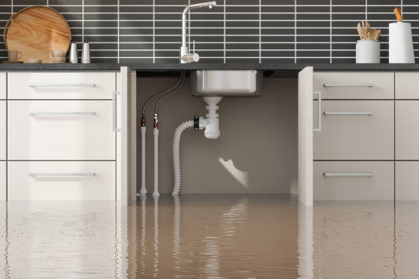 Best Mold removal after water damage  in South Palm Beach, FL