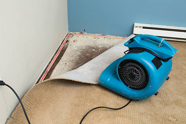 Best Water damage contractors near me  in South Palm Beach, FL
